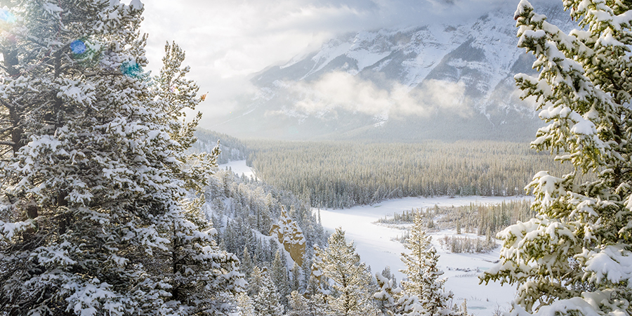 Winter View of Bow River Valley