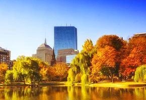 Boston autumn foliage