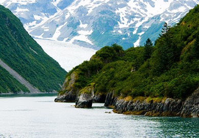 Glaciers and Fjords in Alaska