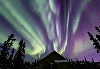 Ultimate Winter Wonderland: Iditarod & Northern Lights - Vacations By Rail