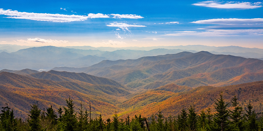 Smoky Mountains In The Fall