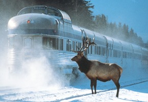 The Canadian in Winter