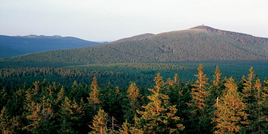 Harz Mountains & the Rhine Gorge