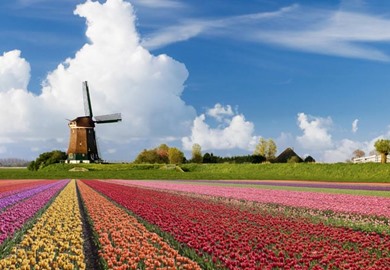 Springtime Tulips & Keukenhof Gardens - Vacations By Rail