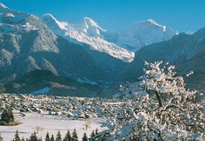 Interlaken In Winter
