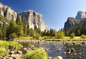 Yosemite National Park