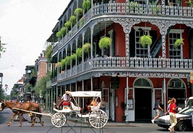 New Orleans Carriage Royal Cafe C C Purcell