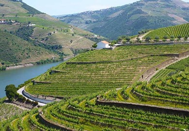 Douro Valley Portugal