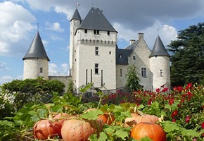 Chateau Du Rivau