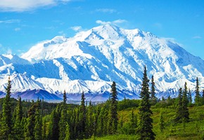 Discovering the Magic of Alaska in Summer: A Traveler's Guide