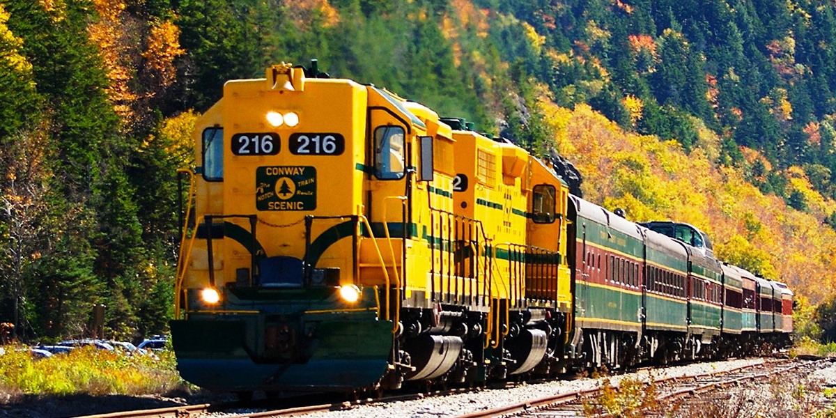 Fall Flash Sale Fall Flash Sale