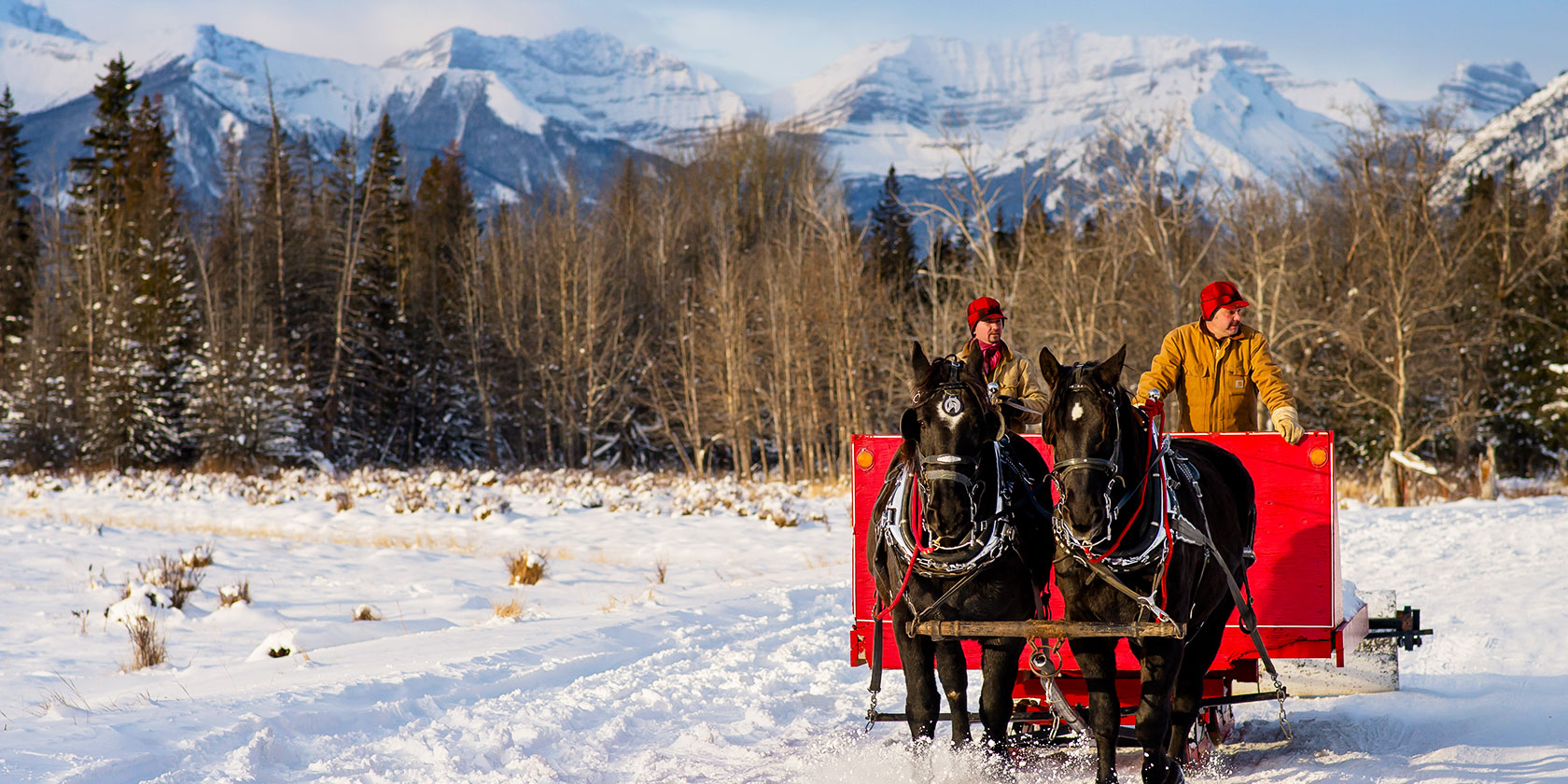 Banff Sleigh Ride Banff Sleigh Ride