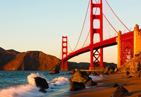 Golden Gate Park And Bridge
