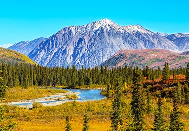 Snow Capped Mountains in Denali National Park