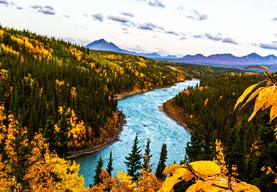Arctic Circle Experience with Kantishna