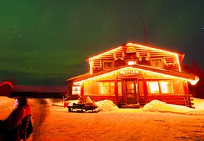 Northern Lights Swirling over Pine Trees