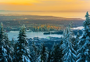 How Winter Trains Trips Make Cold-Weather Travel a Breeze