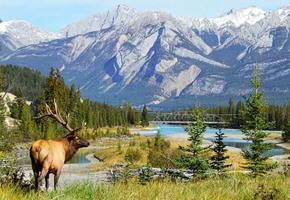 Jasper National Park