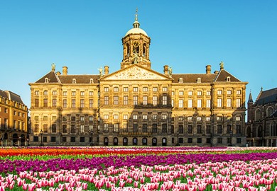 Amsterdam Royal Palace Tulips