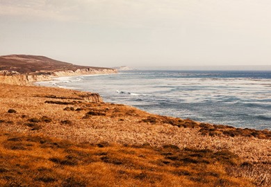 View from the Amtrak Coast Starlight