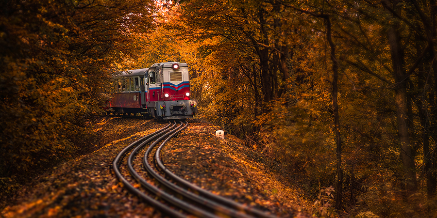 Children Railway Budapest