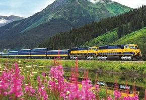A Beginners Guide to Alaska