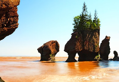 Hopewell Rocks Bay Of Fundy