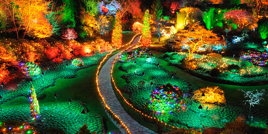 Christmas in butchart gardens Christmas in butchart gardens