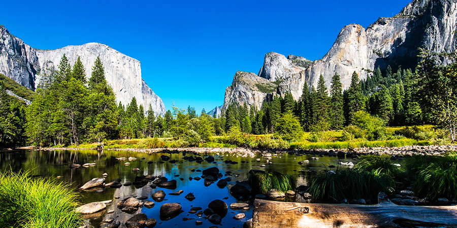 Yosemite National Park