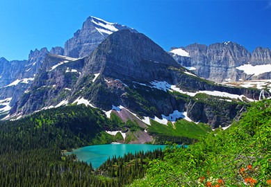 Glacier Parks Lakes and Wildflowers