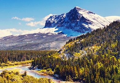 Sunny Day At Glacier National Park