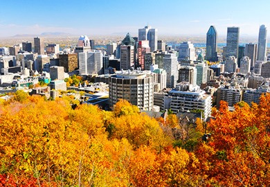 Montreal During Foliage Season 