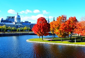 Montreal During Foliage Season 
