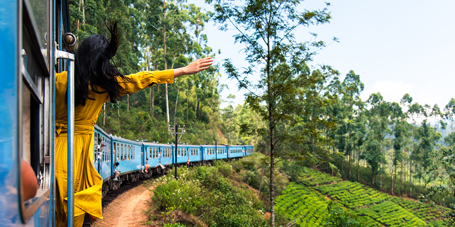 Train ride through Sri Lanka tea plantations