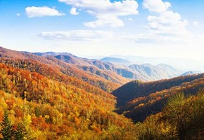 10 Things You Didn't Know About Fall Trains and Voyages