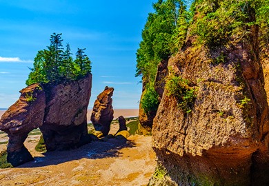 Bay Of Fundy