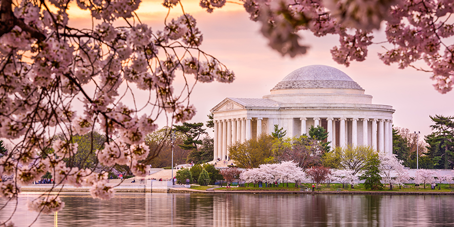 Washington DC During Spring