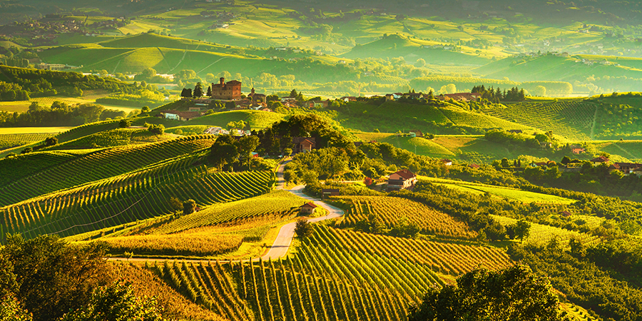 Langhe vineyards sunset panorama, Northern Italy
