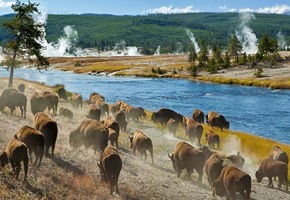 Top 10 Train Vacations