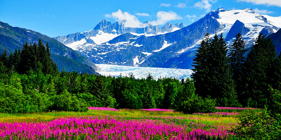Mendenhall Glacier