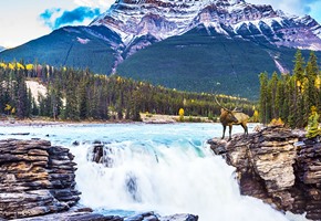 Castle Rock Banff National Park