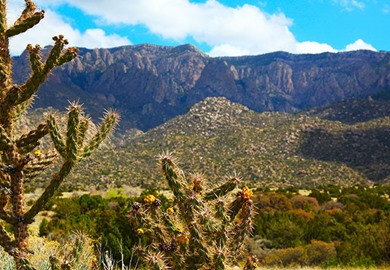 Beautiful Albuquerque Landscape With Sandia Mountains
