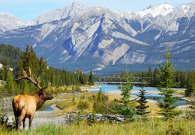 Jasper National Park