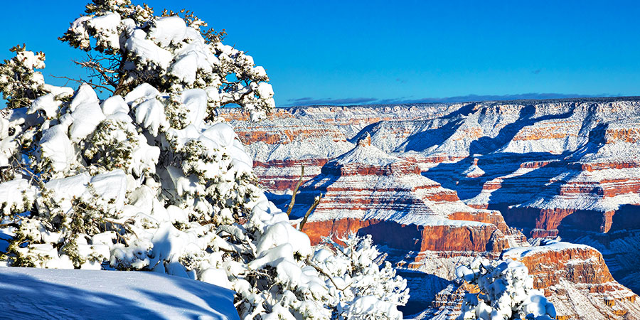 Winter Escape to the Grand Canyon from Los Angeles Round-trip