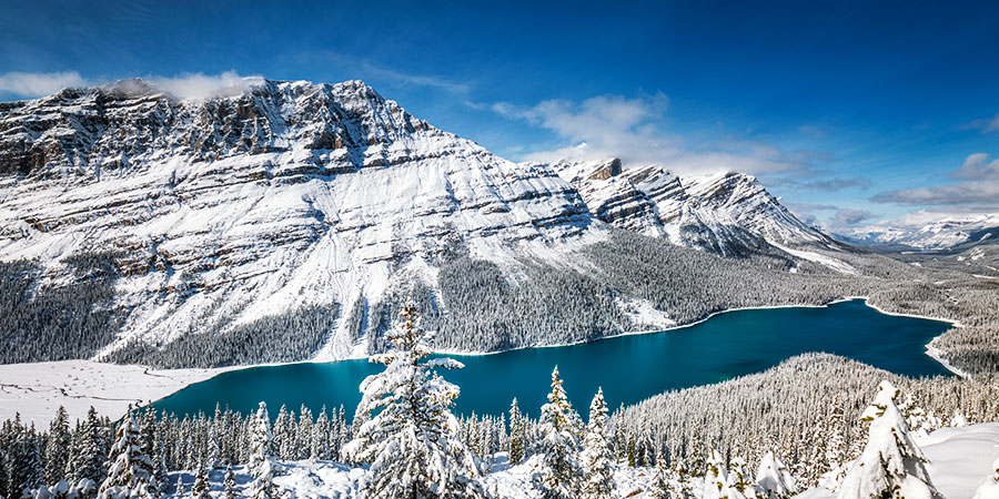 Winter in the Rockies