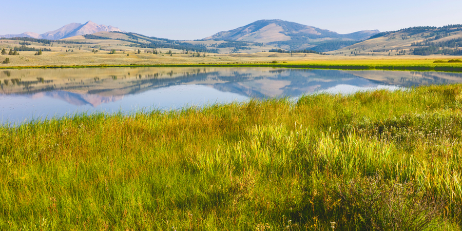 Gray Wolf Inn & Suites, West Yellowstone