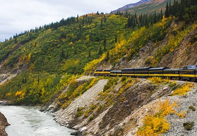 Denali Star Train at Healy Canyon 