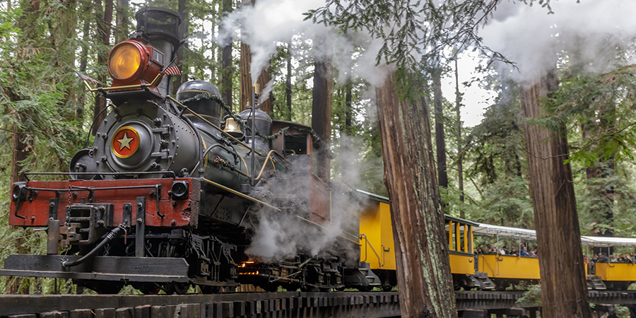 12 Best Theme Park Steam Trains in America - Coaster101