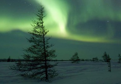 Northern Lights 