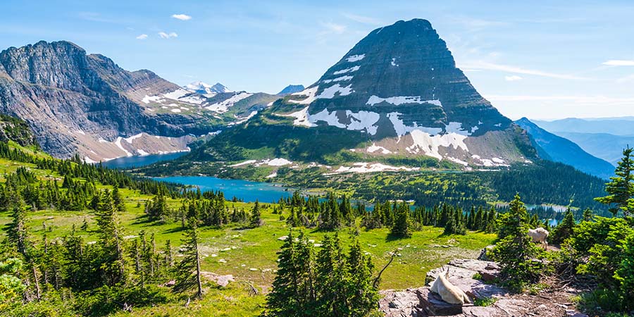 Logan Pass Trail Glacier National Park